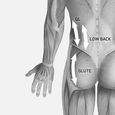 Compex Fixx - Massage Points - Lower Back