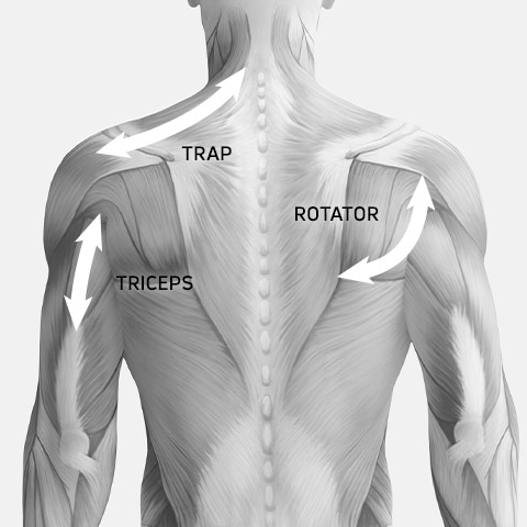 Compex Fixx - Massage Points - Upper Back